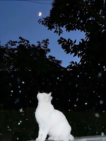 电竞：二次心动