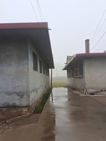 我也不是最重要的