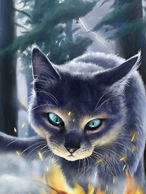 猫武士——鸟鸣朦胧