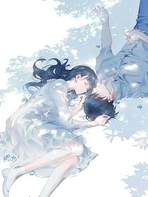 茉雨
