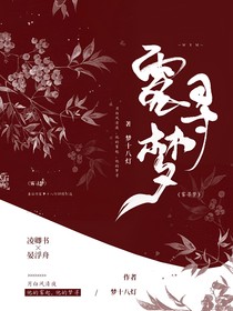 雾寻梦