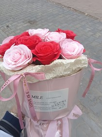 再见，敬春天