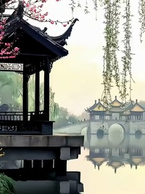 慕蝶