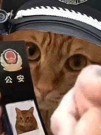 作者学校里and班级里的八卦