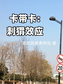 火影：刺猬效应卡带卡无差