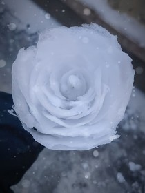 循环再现