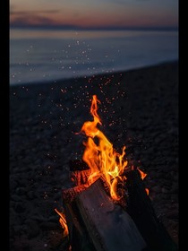 究惑：暗夜追光