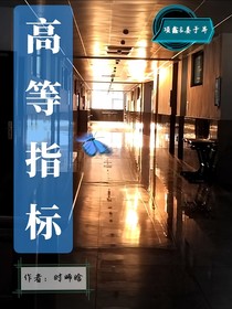 高等指标