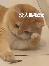 我的初中很有趣