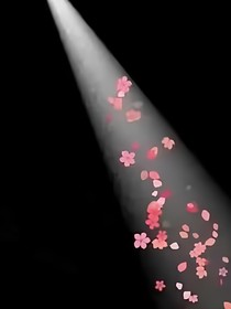 迟来的暗恋（遗憾）