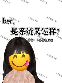 ber，是系统又怎样？