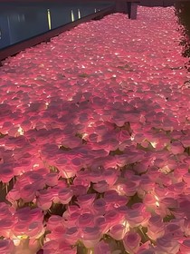我會成為走花路的人