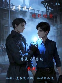 迷雾追凶：暗影档案