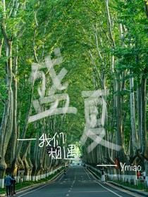 盛夏—我们相遇