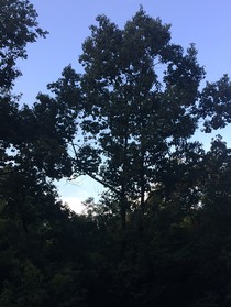 等风吹过田野