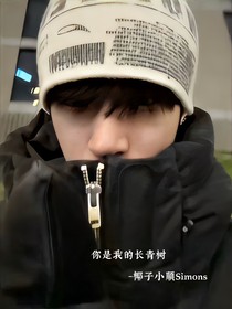 你是我的常青树