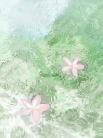 玻璃心窗