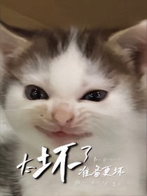 综：太坏了，准备更坏