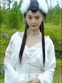 百花仙子爱上四大名捕