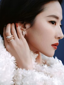 综影视之梦女图鉴