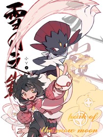 神奇宝贝：雪月之巅