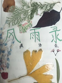 瘋語錄