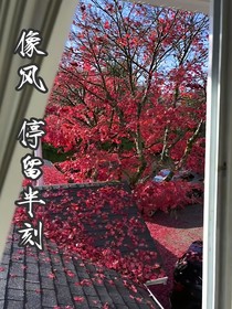 像风，停留片刻