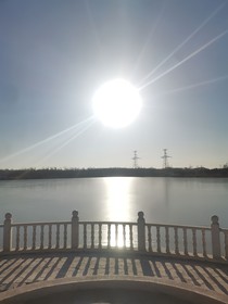 李，董，尘，刘