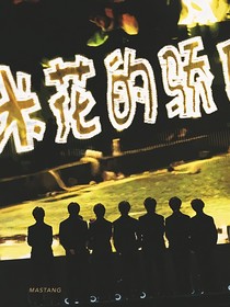 all轩：雾里
