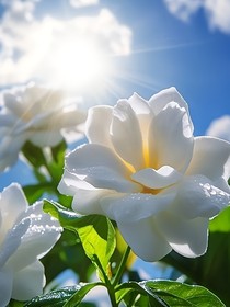 永远留在我的身边