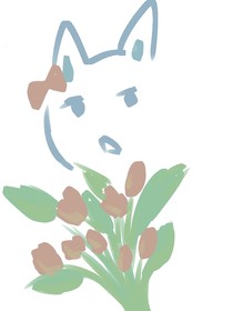 休閑娛樂來一口