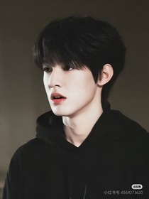 张泽禹：家族婚姻