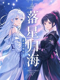 落星归海