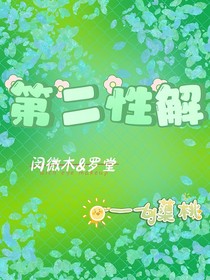 第二性解