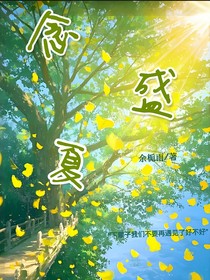 念盛夏n