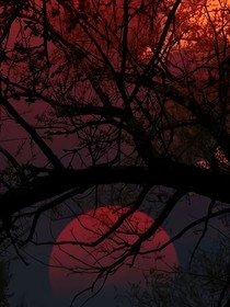 万里乌云：血染成河