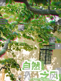 自然之风