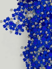 水星上有风铃花