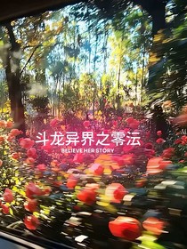 斗龍異界之零沄