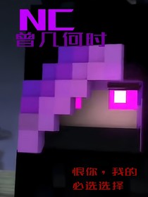 NC——攻城略池