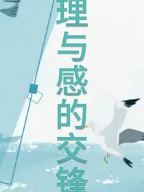理与感的交锋