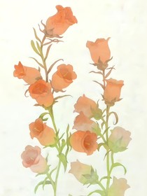 溫暖沉心