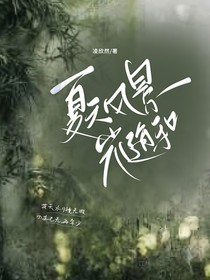 夏天风景光随和