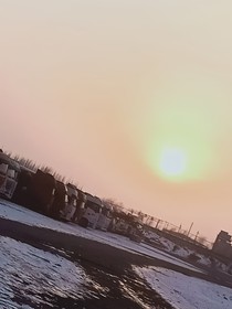 藏于玫瑰下的爱意