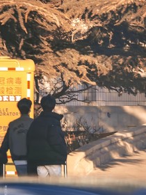 銀杏樹下的你好