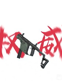 收容体档案