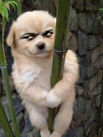 短篇小说合集（搞笑）