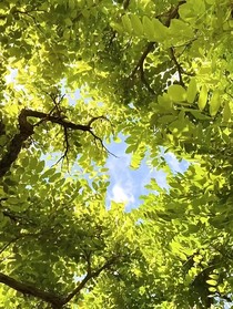 野草蔓生