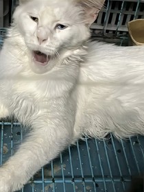 霍格沃茨的奇妙生活