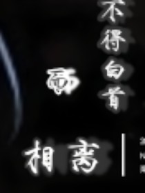 不得白首而相离